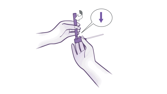 Source file to generate online quick guide images for LoFric Elle